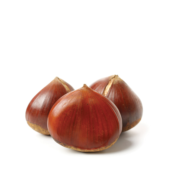 KESTANE